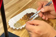 Los Angeles Coffee Roasting Tour thumbnail 3