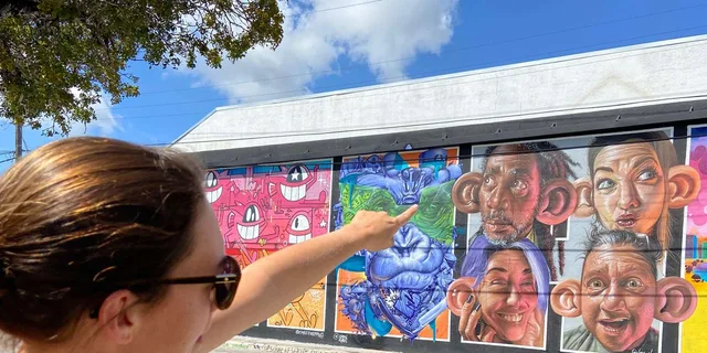 Miami Wynwood Walking Tour in French 2 hr - Image 1