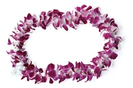 Honolulu Waikiki Private Transfer with Lei Greeting thumbnail 2