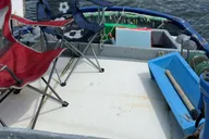Sitka Whale Watching and Hot Springs Tour thumbnail 4