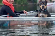 Orlando Paddle with Your Pup Adventure thumbnail 1