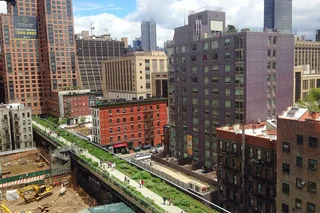New York City Walking Tour of High Line and Chelsea