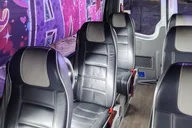 Miami Night Tour by Cabriolet Bus thumbnail 5