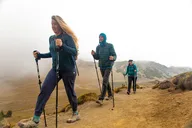 Mount Rainier Private Tour & Hike thumbnail 6