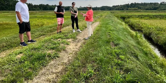 Boston Cranberry Farm Tour - Image 5
