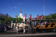 New Orleans French Quarter Walking or Biking Tour thumbnail 3