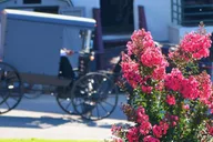 Lancaster Amish Farmlands Guided Tour thumbnail 5