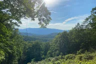 Smoky Mountains Roaring Fork Sightseeing Jeep Tour thumbnail 5