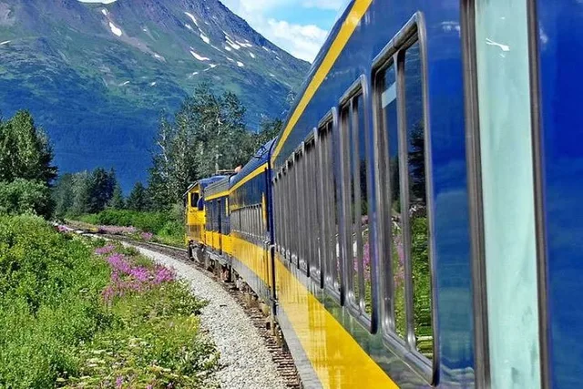 Anchorage to Seward Alaska Railroad Journey - Image 6