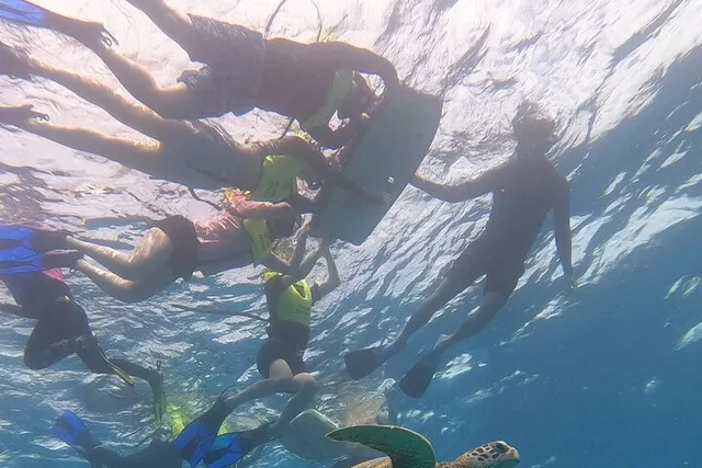 Oahu Snorkeling Adventure with Turtle and Water Scooter - Image 6