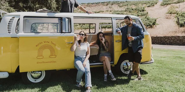 Malibu Vintage VW Bus Vineyard Tour - Image 6