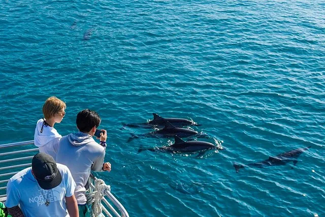 Oahu Dolphin Watch Cruise with Waterslide & Snorkeling - Image 5