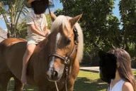 Miami Horse Photoshoot Experience thumbnail 1