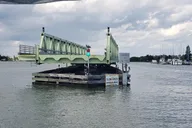 Melbourne Dolphin Tour on Luxury Boat 2 Hr thumbnail 4
