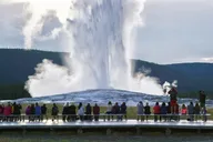 Jackson Hole Yellowstone National Park Tour thumbnail 6