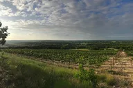 North Texas Wineries and Vineyards Tour thumbnail 4