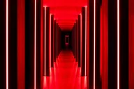 New York Immersive Art Experience 1 hr thumbnail 6