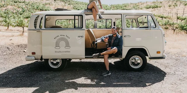 Los Angeles Vintage VW Bus Tour in Malibu - Image 1