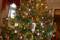 Atlanta Holiday Tour thumbnail 5