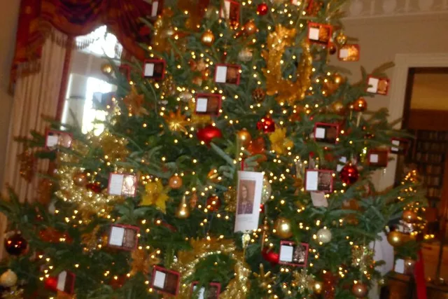 Atlanta Holiday Tour - Image 5