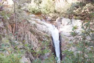 La Plata Mountains 4x4 Tour thumbnail 3