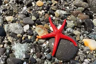 Port Townsend Shore Tour thumbnail 1