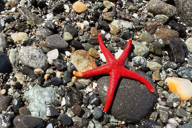 Port Townsend Shore Tour - Image 1