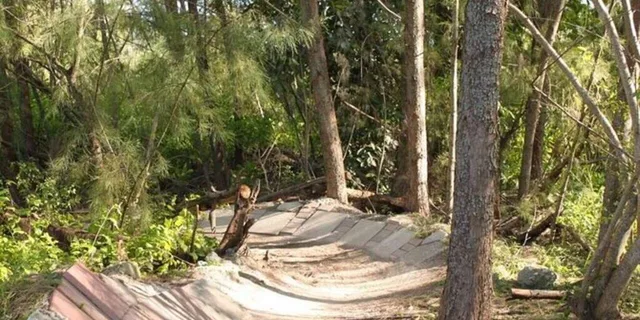 Miami Mountain Bike Rental on Virginia Key Trails - Image 3