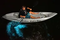 Cocoa Beach Bioluminescent Kayak Tour thumbnail 2