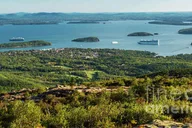 Bar Harbor Acadia National Park Tour with Lobster Roll thumbnail 6