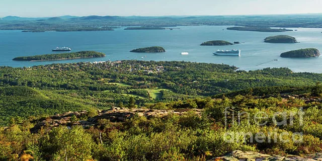 Bar Harbor Acadia National Park Tour with Lobster Roll - Image 6