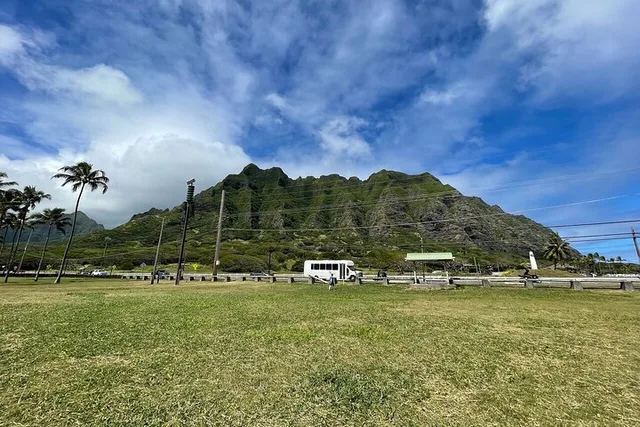 Oahu Circle Island Tour: Dole, Turtles, Blowhole - Image 4