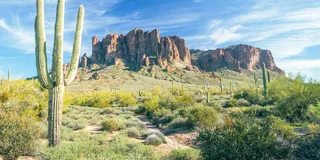 Phoenix Hot Air Balloon Ride