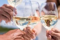 Providence Cruise with Wine and Prosecco thumbnail 4