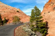 Las Vegas Grand Canyon and Zion National Park Tour thumbnail 4