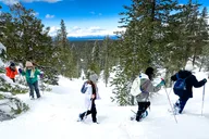 South Lake Tahoe Snowshoe Adventure thumbnail 3