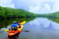 Key Largo Mangrove Kayak Eco Tour thumbnail 3