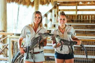 Miami Everglades Airboat Tour & Wildlife Show thumbnail 2