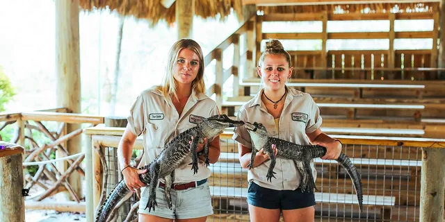 Miami Everglades Airboat Tour & Wildlife Show - Image 2