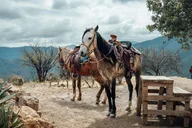 Phoenix Desert Horseback Ride with Lunch thumbnail 2