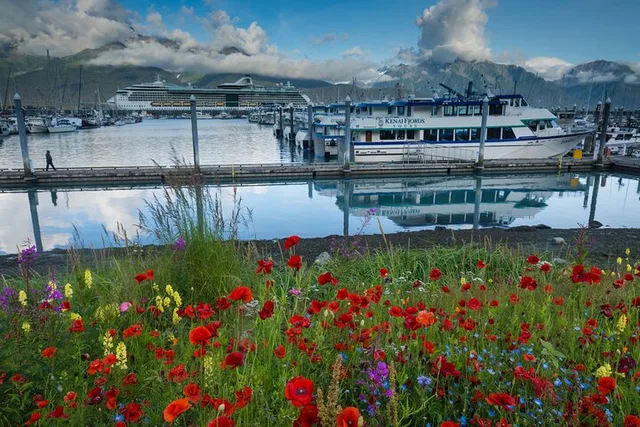 Seward to Anchorage Scenic Photo Tour - Image 3