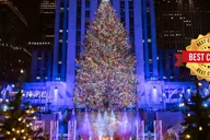 New York City Christmas Rickshaw Tour thumbnail 2