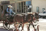 Tombstone and Bisbee Sightseeing Tour with Saguaro N.P. 11 hr thumbnail 3