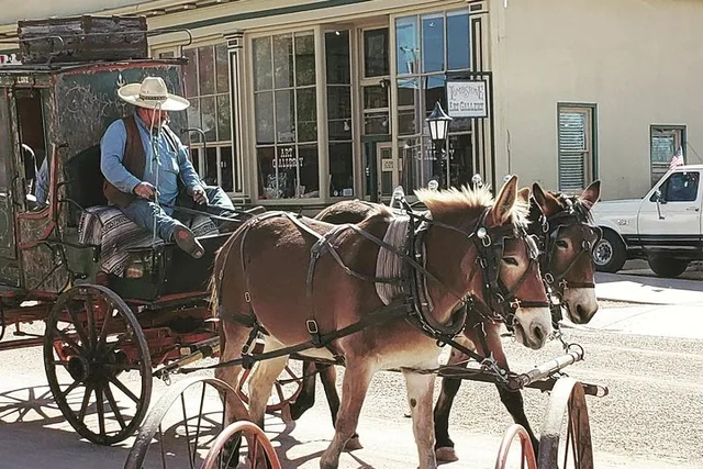 Tombstone and Bisbee Sightseeing Tour with Saguaro N.P. 11 hr - Image 3