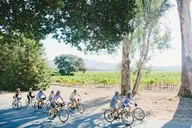 Napa Valley E-Bike Winery Tour with Picnic Lunch thumbnail 3