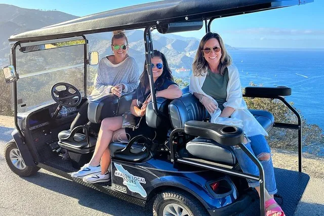 Avalon Private Tour by Golf Cart 2 hr - Image 3