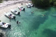 Key West Eco Sandbar Snorkeling Tour thumbnail 4
