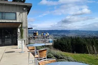 Dundee Private Wine Tour 9.5 hr thumbnail 1