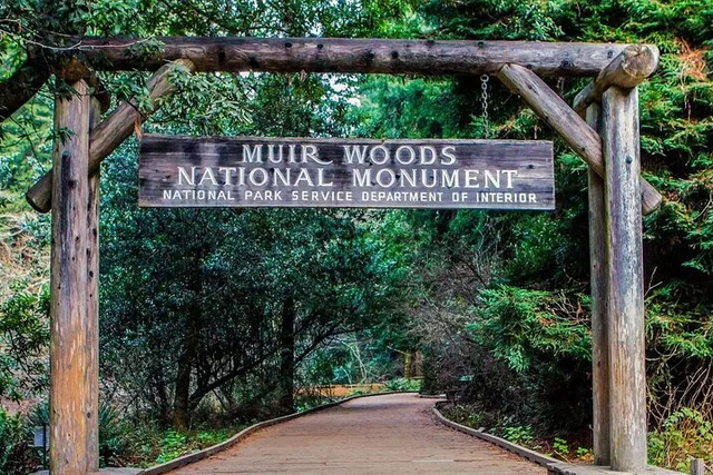 Muir Woods Walking Tour - Image 1
