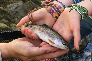 Tuolumne Fly Fishing Adventure